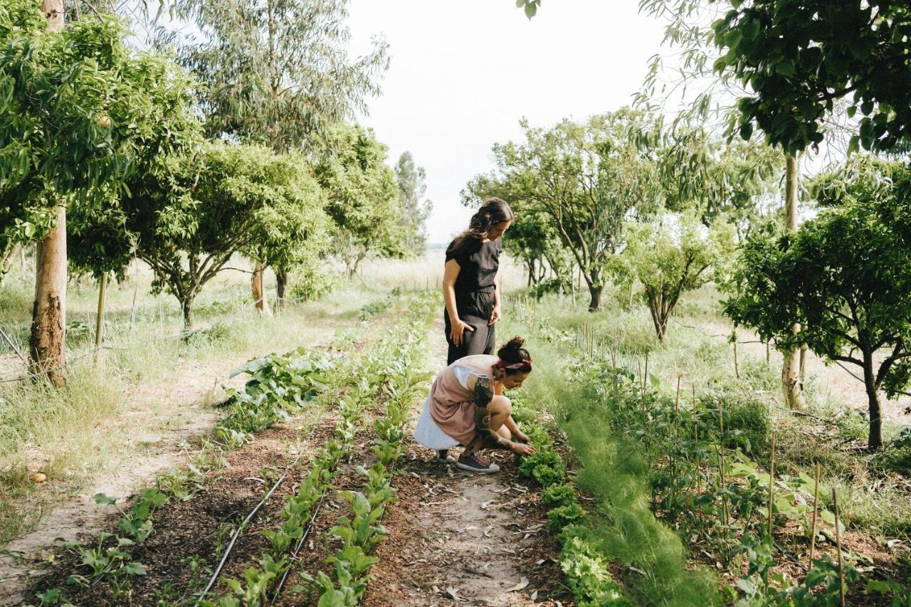 Humus Farm Villa Águas de Moura Dış mekan fotoğraf