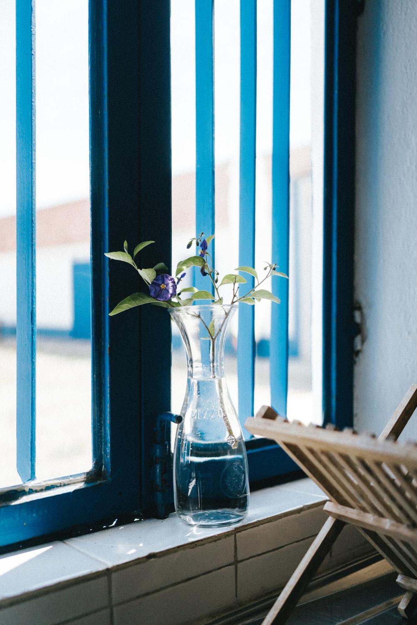Humus Farm Villa Águas de Moura Oda fotoğraf