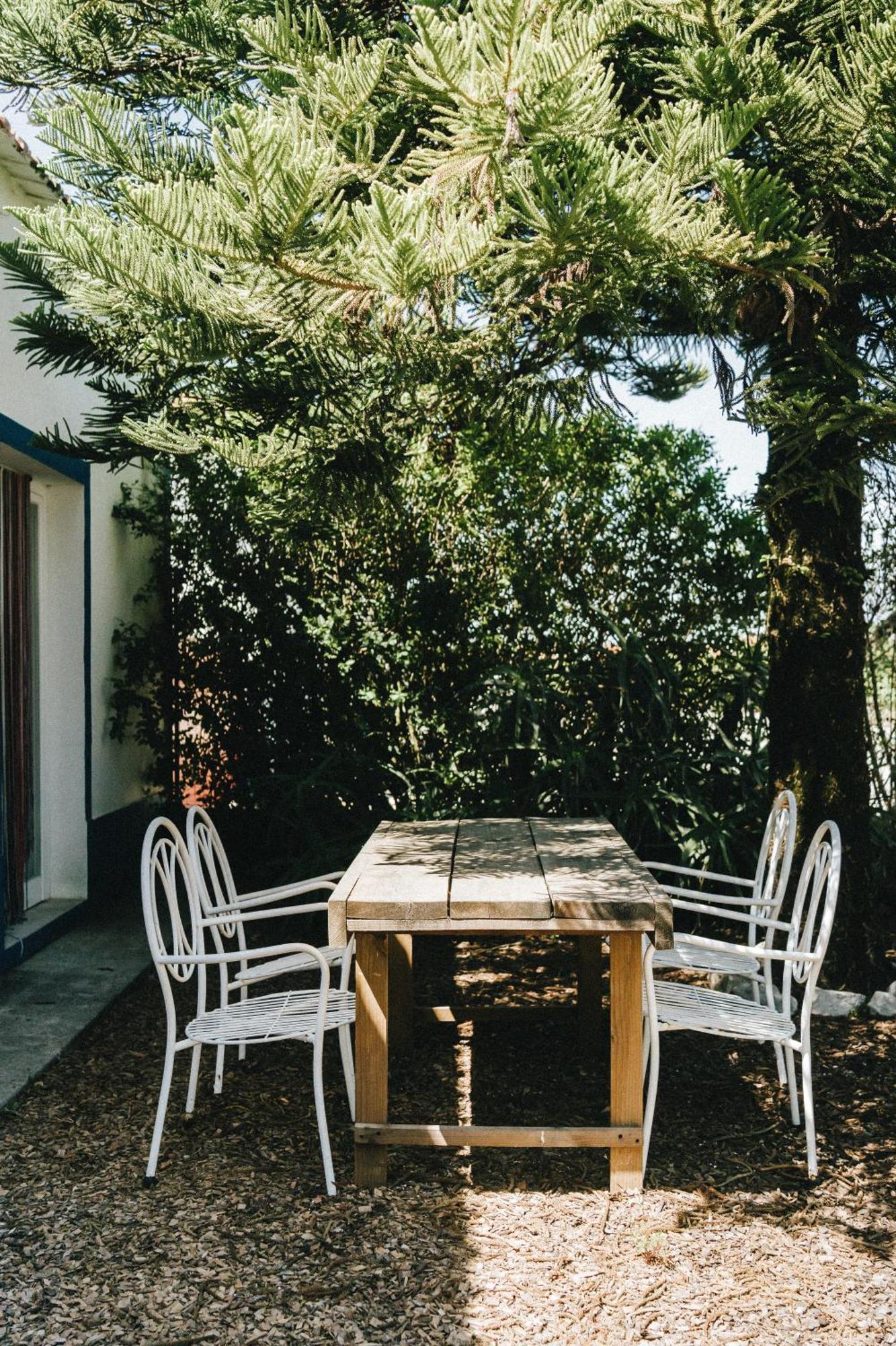 Humus Farm Villa Águas de Moura Oda fotoğraf
